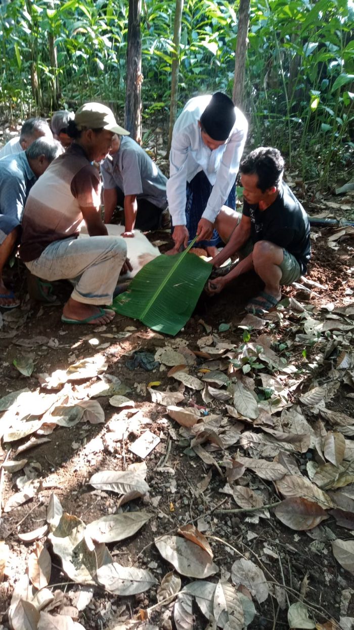 Idul Adha 1443 H/ 2022 M di Desa Wonoharjo 01