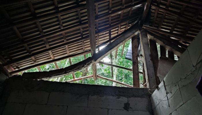 Kayu Tumbang di Dusun Temetes 02