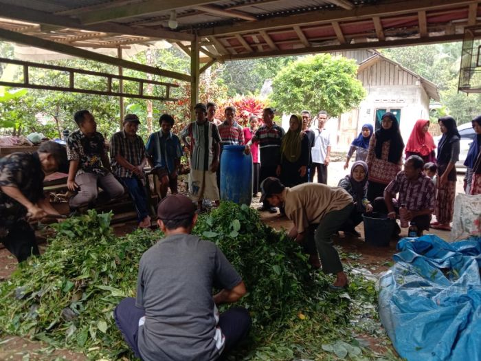 Pelatihan Pembuatan Pakan Ternak Kelompok Ternak Lembu Sari Wonoharjo 01