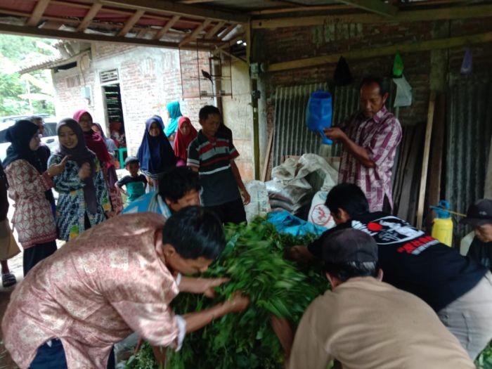 Pelatihan Pembuatan Pakan Ternak Kelompok Ternak Lembu Sari Wonoharjo 02