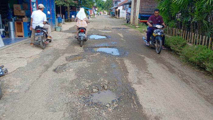 Pemdes Wonoharjo Inventariasi Kerusakan Jalan K1 02