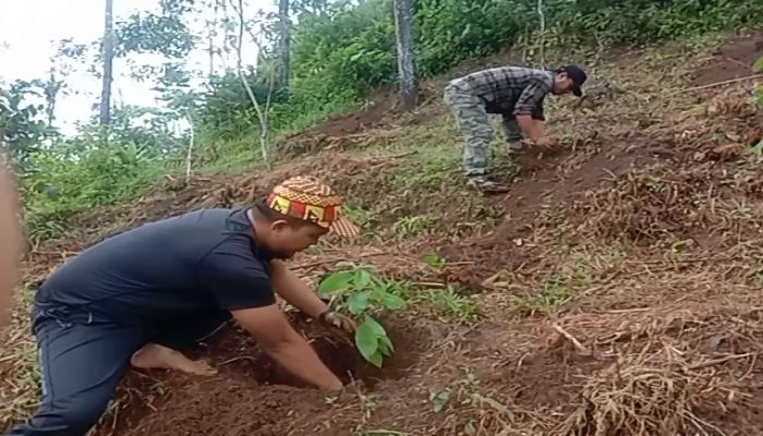 Penanaman Bibit di Bukit Dewa 01