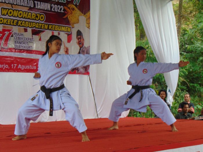 Pentas Seni Meriahkan HUT RI di Wonoharjo 01