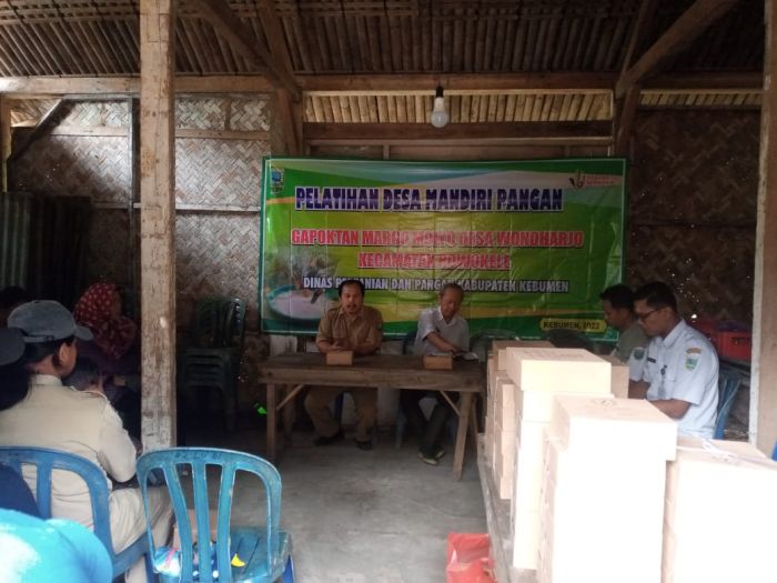 Pelatihan Desa Mandiri Pangan Gapoktan Margo Mulyo Desa Wonoharjo 01