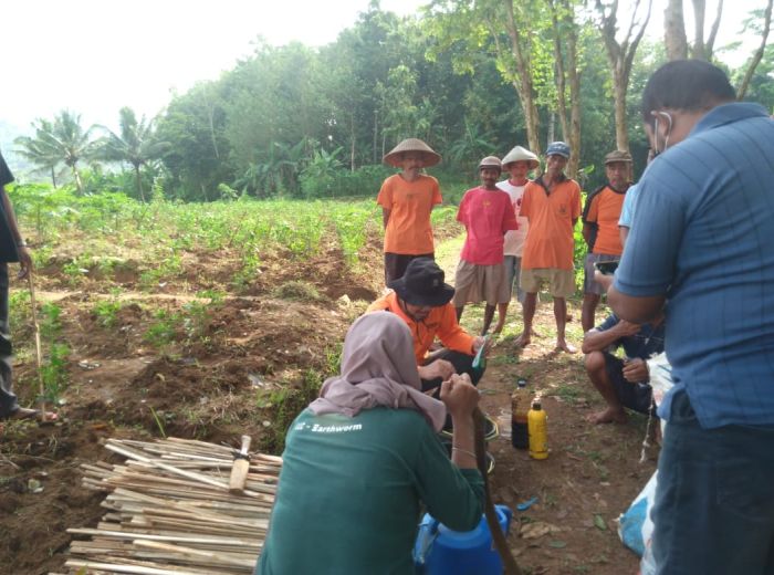 Kegiatan pemasangan ajir dan pelatihan pembuatan obat semprot insektisida 02