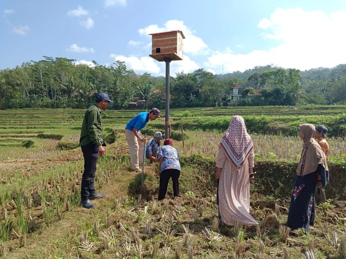Pemasangan Rubuha di Desa Wonoharjo 01