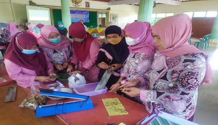 Pelatihan Pembuatan Jamu 01