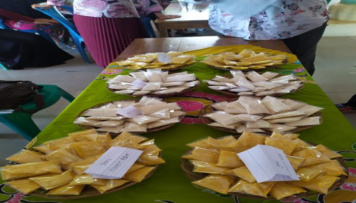 Pelatihan Pembuatan Jamu 02