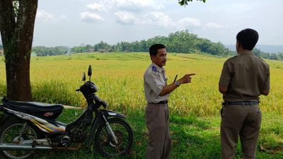 Pengecekan Lokasi Tanah Bengkok Desa Wonoharjo Untuk Pengajuan Sertifikat
