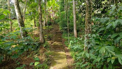 Krapyak Dusun Lemungsur