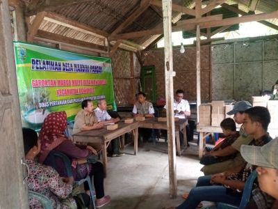 Pelatihan Desa Mandiri Pangan Gapoktan Margo Mulyo Desa Wonoharjo