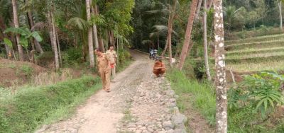 Peninjauan Lokasi Pembangunan  Jalan Rabat Beton Dusun Luwung dan Slirap
