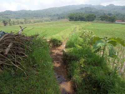 Peninjauan Lokasi Pembangunan Saluran Irigasi
